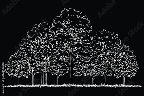 “Forest Border Illustration — Black and White Trees”