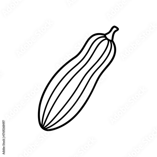 Illustration of a long squash with vertical stripes on transparent background