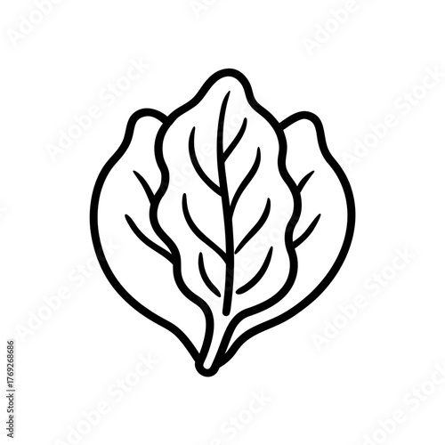 Outline drawing of three spinach leaves together on transparent background