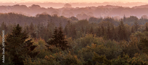 Treetop view over a Dutch forest in autumn season - Drenthe, The Netherlands.