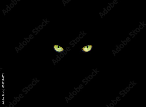 Photography Yellow cat eyes glow in the dark on a black background.