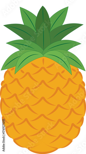 Vector image of pineapple on isolated white background. Citrus fruit. Ripe and tasty product.