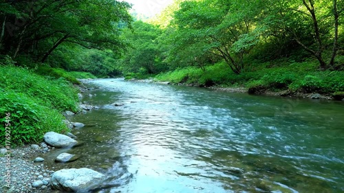 Clear flowing river with lush green trees and foliage in natural setting