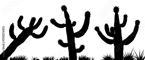 stark silhouettes of cacti and desert vegetation against a bright white backdrop