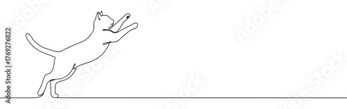Minimalist continuous line art of a cat standing on hind legs with paws raised, in a playful pose.