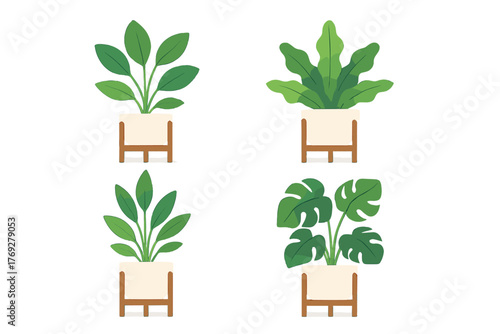 Four indoor houseplants including Monstera and Fern in modern ceramic pots with wooden stands