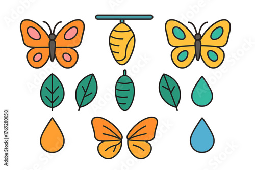 Colorful butterfly life cycle elements set including chrysalis, pupa, adult insect, leaves, and water drops