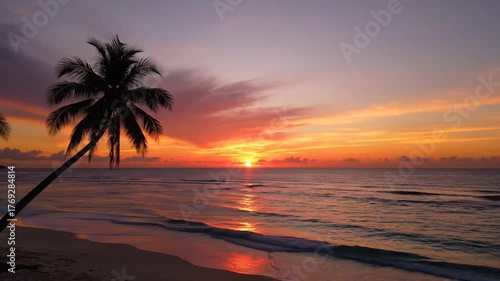 Coastal sunset scene with palm trees silhouettes over ocean horizon