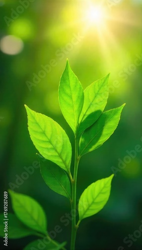 Vibrant green leaves bathed in sunlight, symbolizing clean, renewable energy from nature Perfect for eco-friendly projects and sustainable living campaigns , plant life, fresh