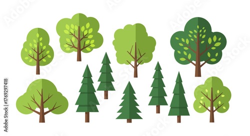 Stylized vector trees illustration showcasing diverse foliage and coniferous forms set against a