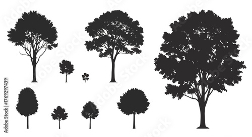 Diverse tree silhouettes creating a natural forest outline against a blank canvas backdrop