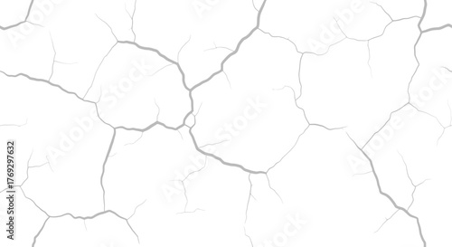 Detailed fracture network showcasing fine lineaments on a pristine white background forming a
