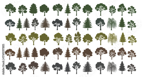 Diverse arboreal silhouettes showcasing deciduous and coniferous tree varieties in varying hues
