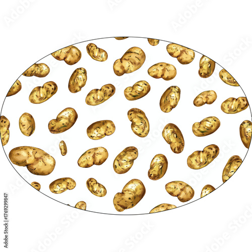 Watercolor illustration of various potatoes arranged on white background