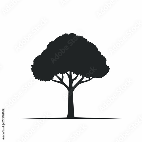 Elegant silhouette of a solitary tree radiating natural beauty and serene woodland charm