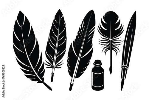 set of bird feather feathers vector image