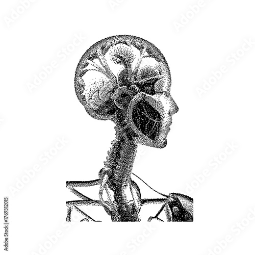 Profile of a humanoid figure, intricate mechanical design, futuristic style