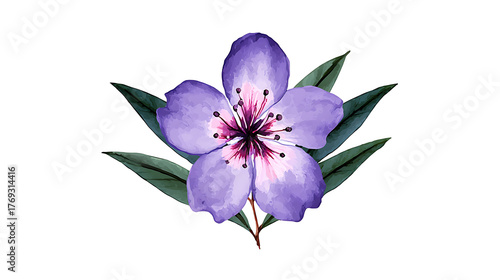 A purple flower with green leaves