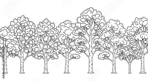 Hand-Drawn Trees Silhouettes Border: Decorative Forest Lineart Illustration for Creative Design