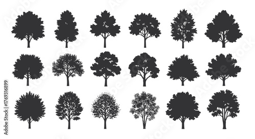 Collection of diverse tree silhouettes showcasing varied shapes and sizes for nature design