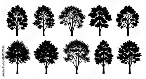 Diverse arboreal silhouettes showcase distinct branching patterns and leafy crown formations