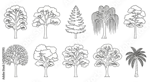 Collection of diverse tree silhouettes in black and white suitable for artistic rendering