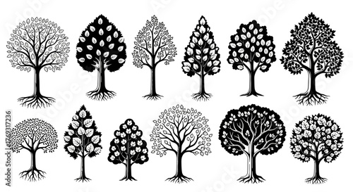 Elegant tree silhouette set showcasing diverse botanical shapes and artistic line work