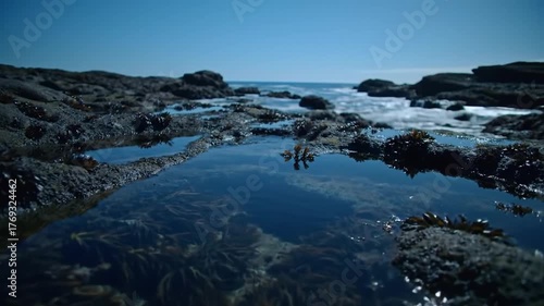 Tide pool reflection at rocky coastline under bright blue sky