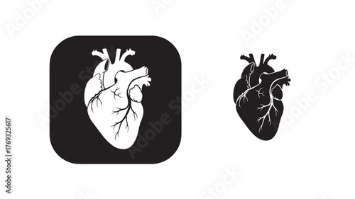 Two anatomical heart designs a square and a freeform silhouette on transparent background