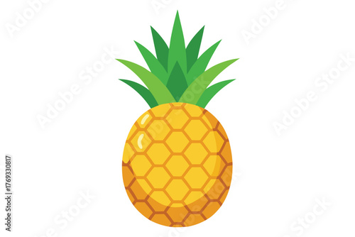 pineapple vector in white background