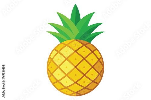 pineapple vector in white background