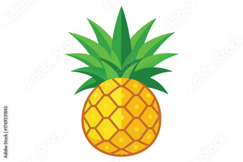 pineapple vector in white background