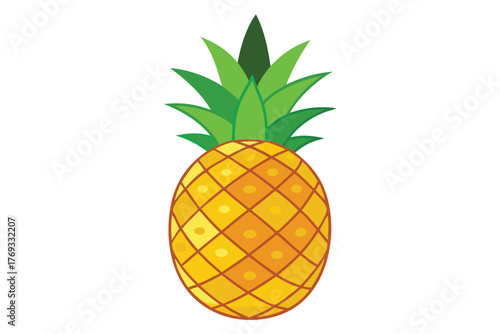 pineapple vector in white background