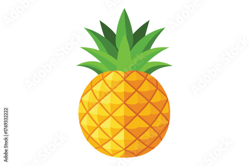 pineapple vector in white background