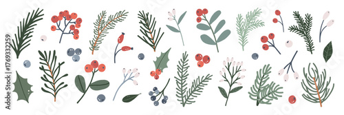  Set of winter Christmas greenery foliage. Holly, red and blue berry, fir branches, evergreen plants. Botanical leaf vector illustration
