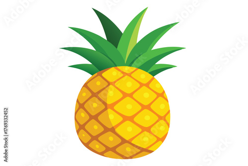 pineapple vector in white background