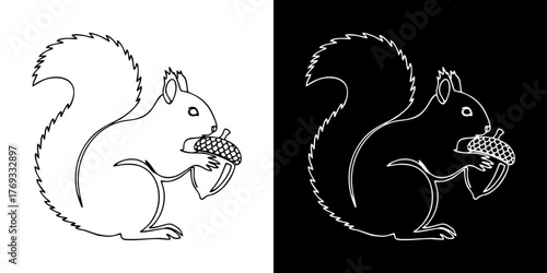 Minimalist outline illustration of a cute squirrel holding an acorn, presented in both black and white versions for versatile graphic design projects and animal-themed branding