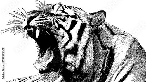 Powerful Roaring Tiger Illustration in Black and White. Detailed Wildlife Big Cat Vector Art, Aggressive Growl, Predator Strength.