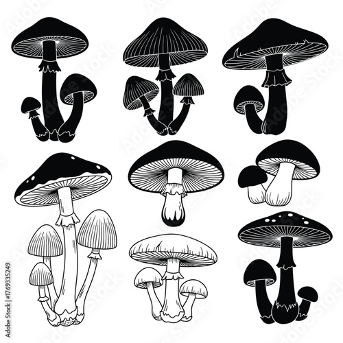 Collection of diverse black and white mushroom illustrations in various styles.