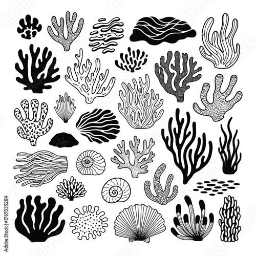 Collection of diverse black and white illustrations of various underwater corals, shells, and aquatic plants.
