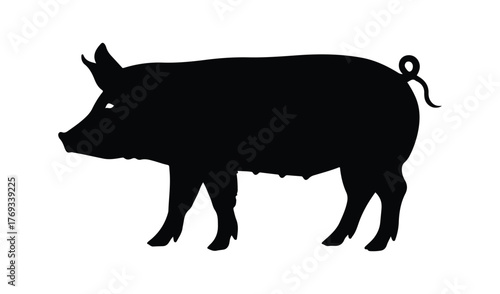 Black silhouette of a pig standing on a white background