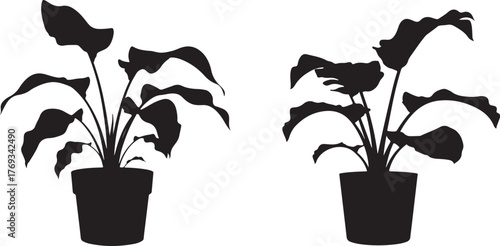 Potted Plant Silhouette Arrangement Indoor Decoration Simple Background Illustration Design