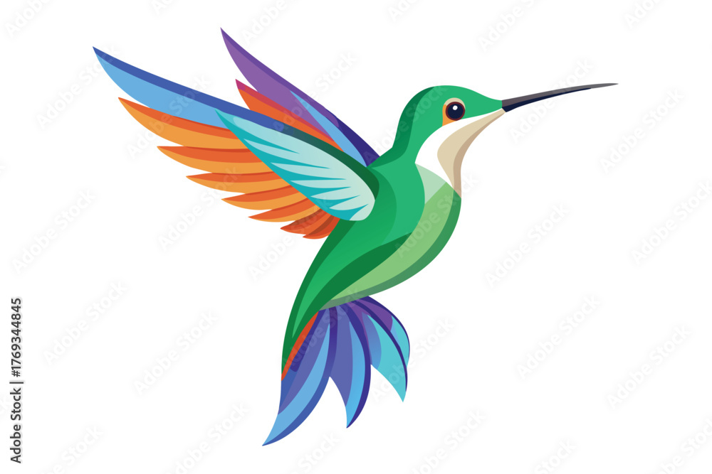 Obraz premium hummingbird vector in white background