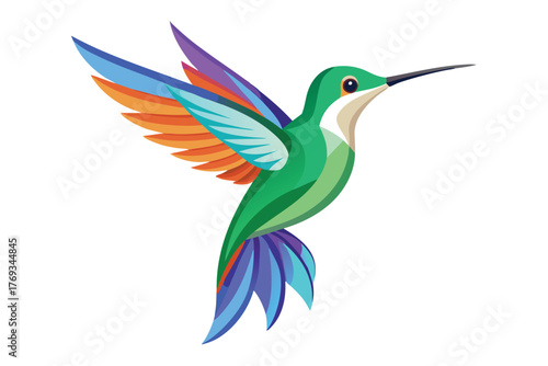 hummingbird vector in white background