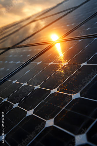 Solar Energy's Golden Embrace: The sun's radiant touch enhances the sleek expanse of solar panels, embodying clean energy's potential