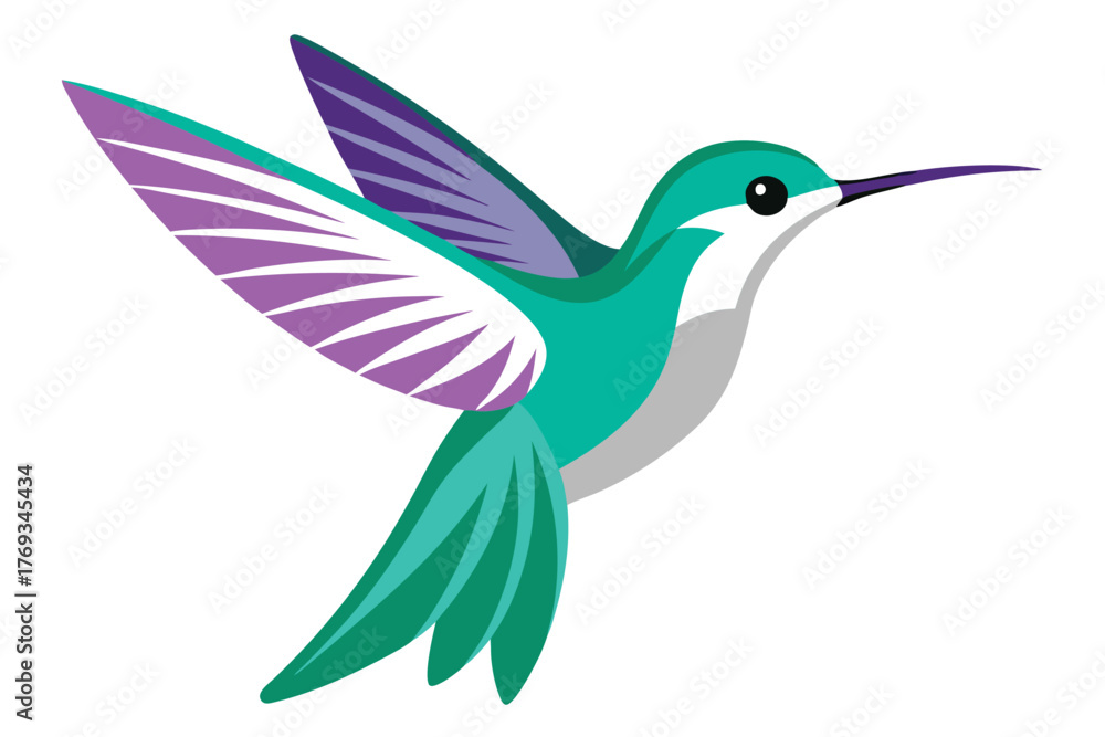 Obraz premium hummingbird vector in white background