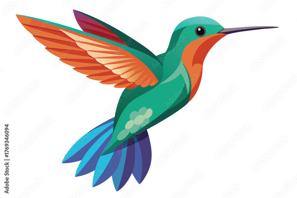 Obraz premium hummingbird vector in white background
