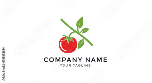 Fresh Red Tomato Growing on a Vine with Green Leaves.