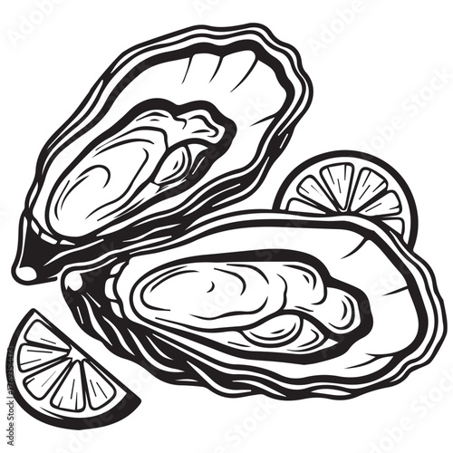 Freshly opened oysters with lemon slices illustration
