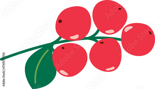 산수유 열매 겨울 소품 일러스트 fruit winter props illustration